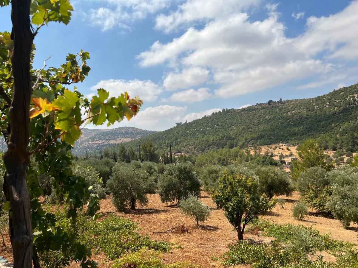 Oak Farm مزرعة الملّول Pensionat ‘Ajlūn Eksteriør billede